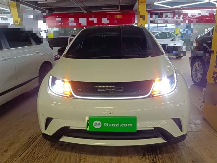 Фото 3 - BYD Dolphin