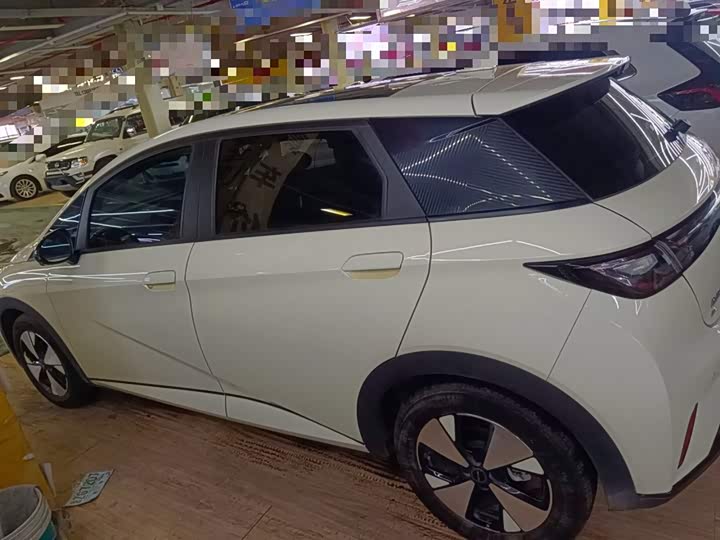 Фото 5 - BYD Dolphin