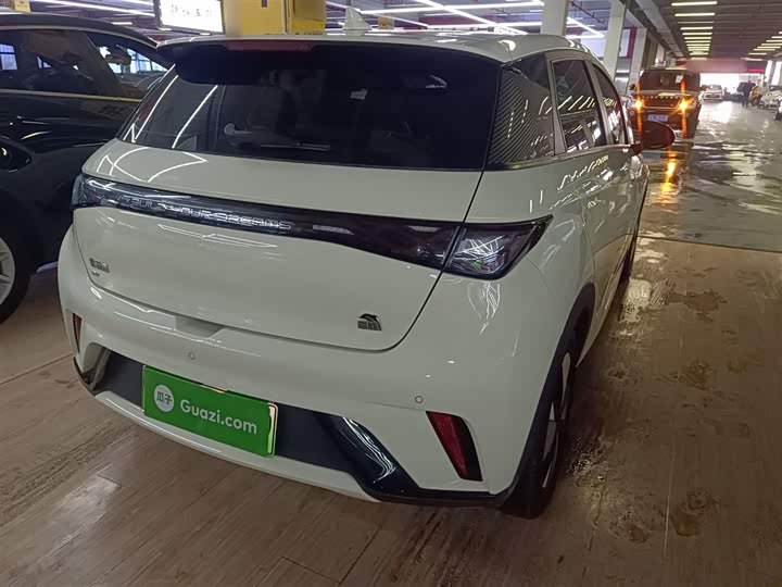 Фото 7 - BYD Dolphin