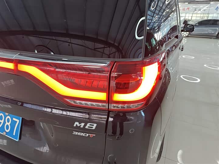 Фото 8 - GAC Trumpchi M8