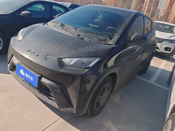 Фото 1 - BYD Seagull