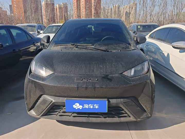 Фото 2 - BYD Seagull