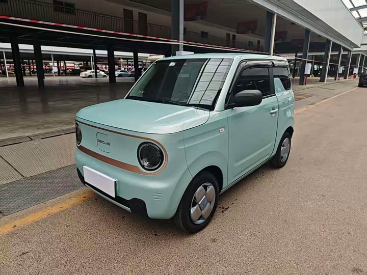 Фото 1 - Geely Galaxy Panda Mini