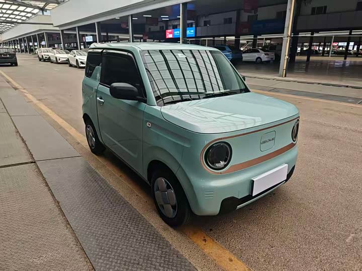Фото 24 - Geely Galaxy Panda Mini