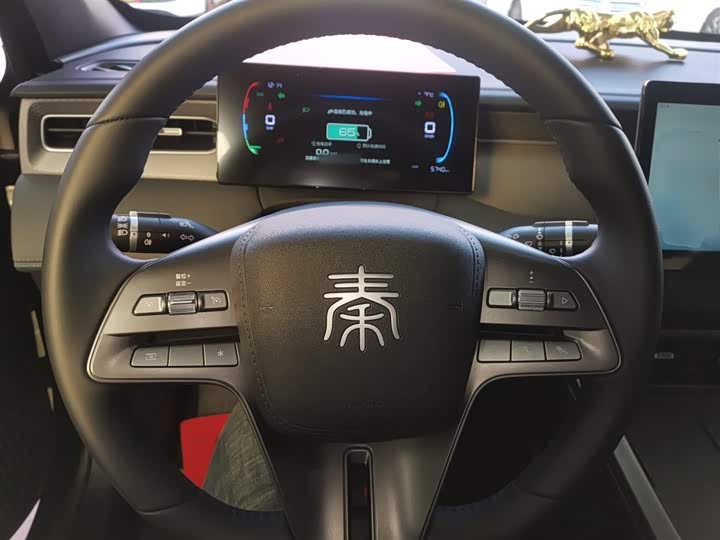 Фото 11 - BYD Qin Plus