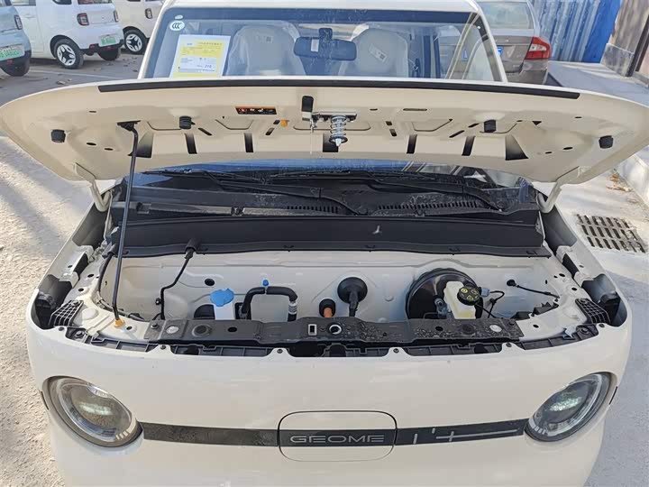 Фото 20 - Geely Galaxy Panda Mini