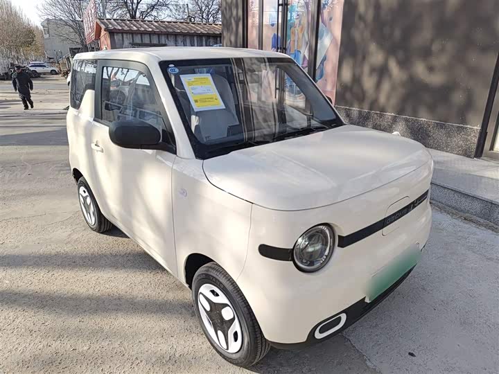 Фото 4 - Geely Galaxy Panda Mini
