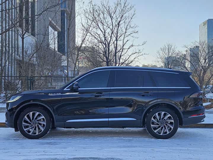 Фото 3 - Lincoln Aviator