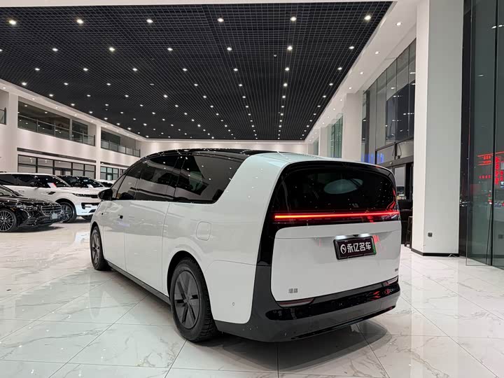 Фото 6 - LiXiang Mega