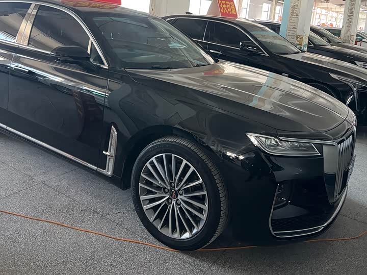 Фото 7 - Hongqi H9