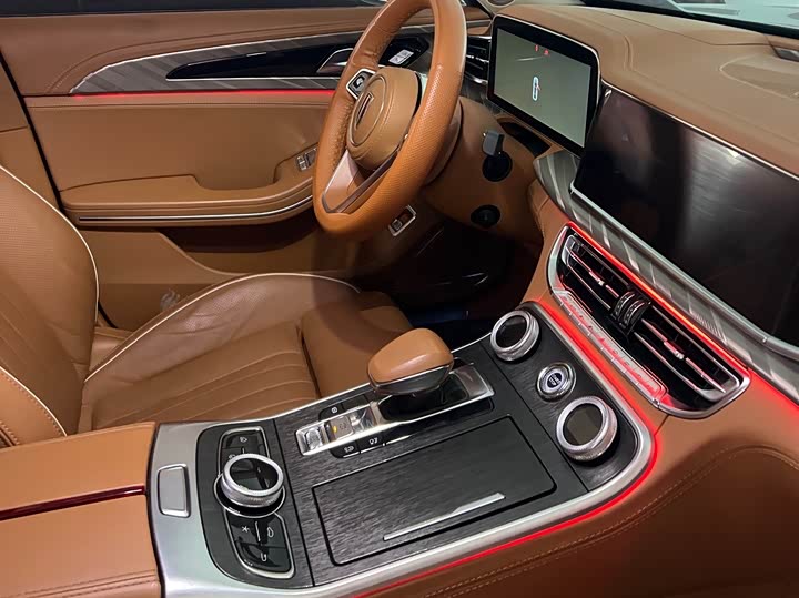 Фото 9 - Hongqi H9