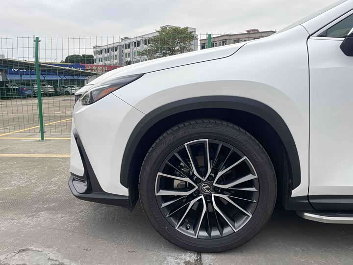 Фото 7 - Lexus NX