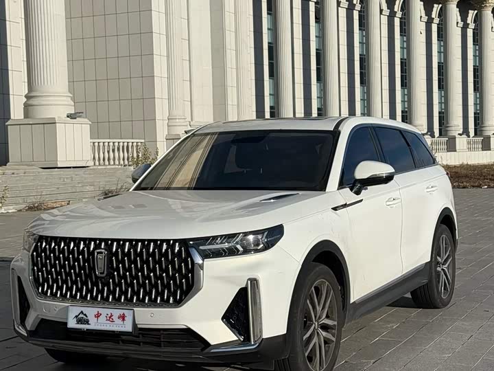 Фото 2 - Bestune T99