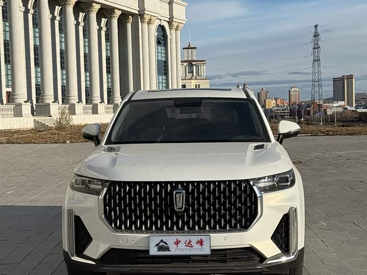 Фото 3 - Bestune T99