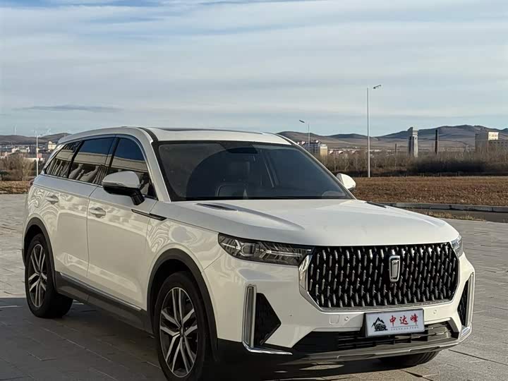 Фото 4 - Bestune T99