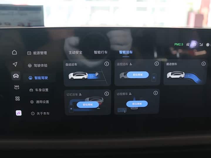 Фото 10 - Voyah Passion