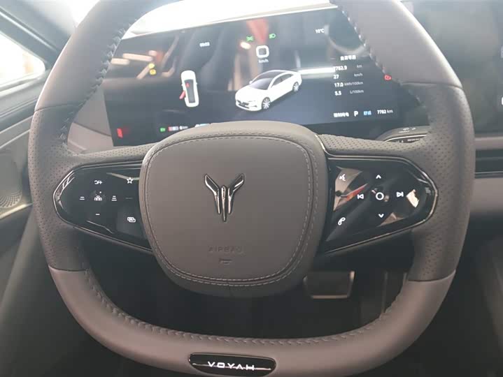 Фото 6 - Voyah Passion