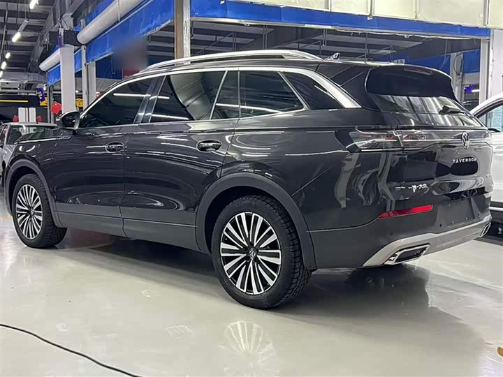 Фото 4 - Volkswagen Tavendor