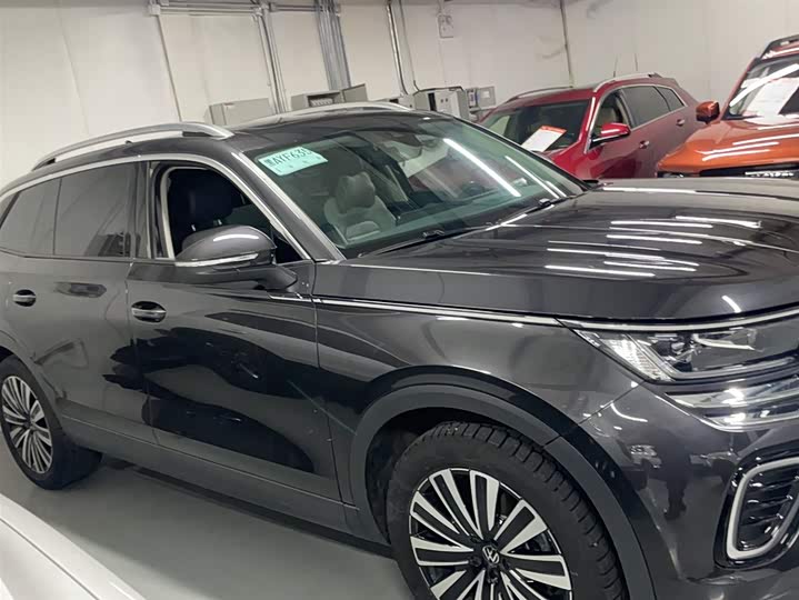 Фото 6 - Volkswagen Tavendor