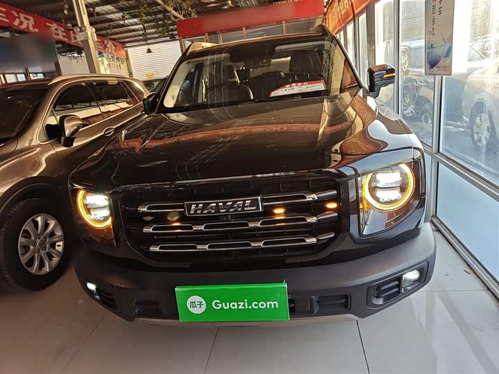 Фото 3 - Haval Dargo