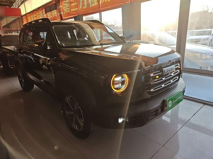 Фото 4 - Haval Dargo