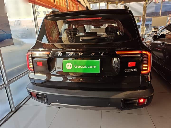 Фото 6 - Haval Dargo