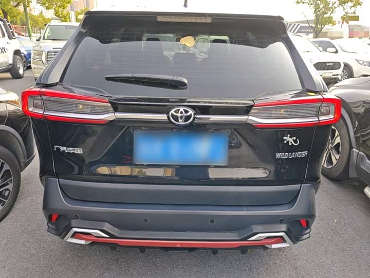 Фото 6 - Toyota Wildlander