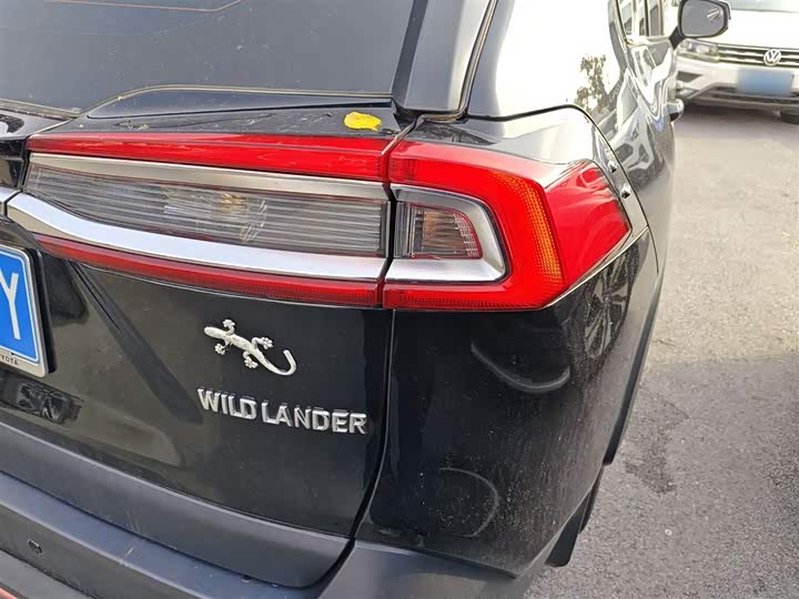 Фото 8 - Toyota Wildlander