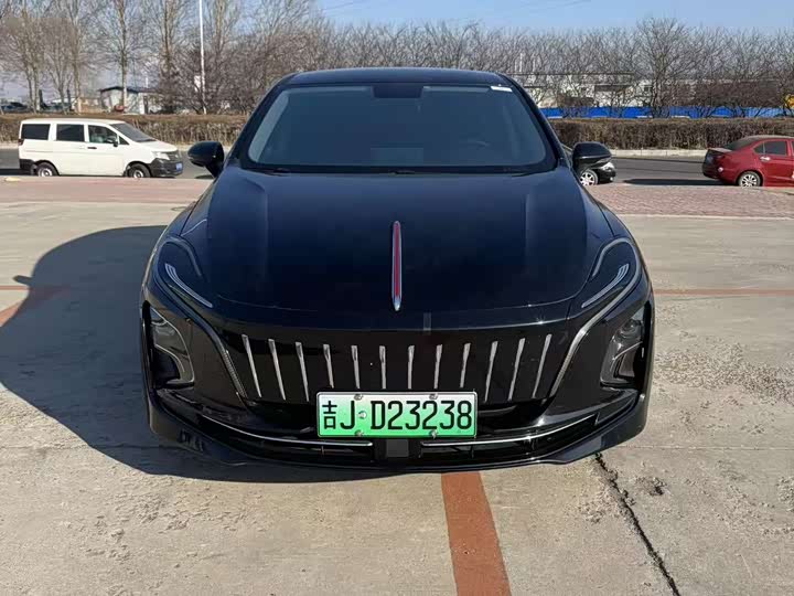 Фото 3 - Hongqi E-QM5