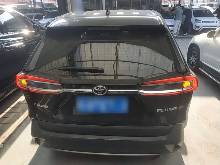 Фото 6 - Toyota Wildlander