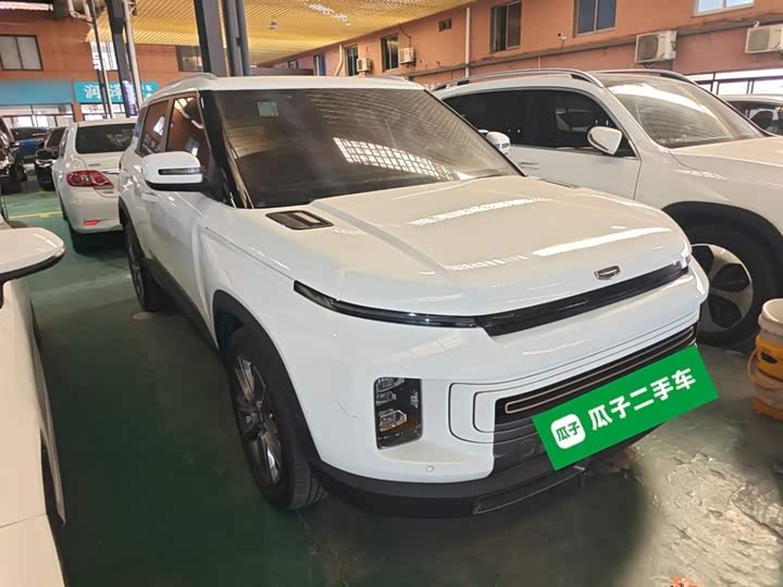 Фото 4 - Geely Icon