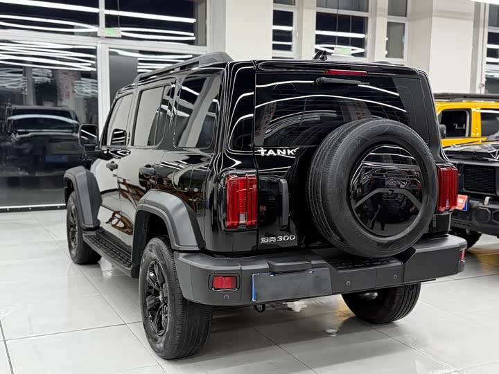 Фото 12 - Tank 300