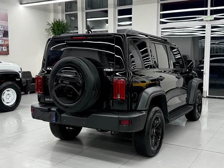 Фото 13 - Tank 300