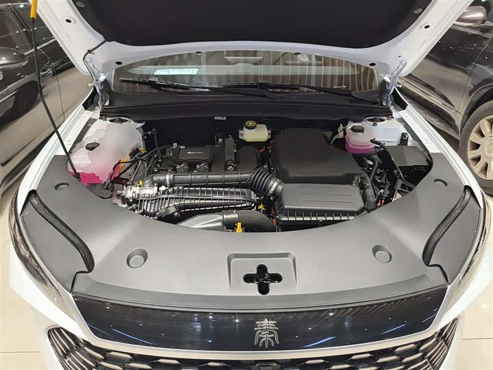 Фото 20 - BYD Qin Plus