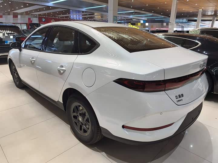 Фото 5 - BYD Qin Plus