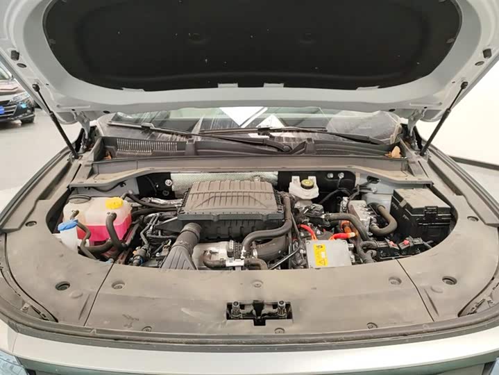 Фото 10 - Exeed RX C-DM Hybrid