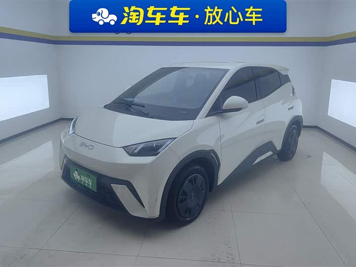 Фото 1 - BYD Seagull