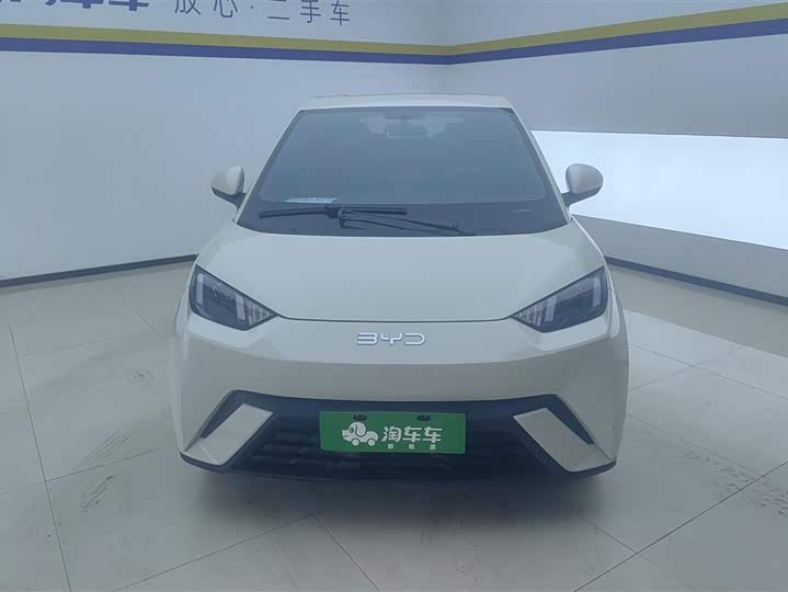 Фото 2 - BYD Seagull