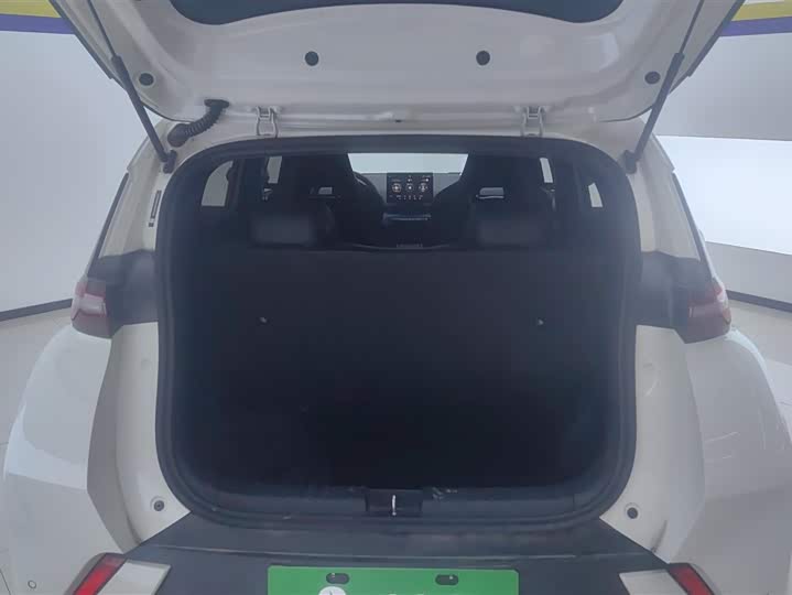 Фото 4 - BYD Seagull