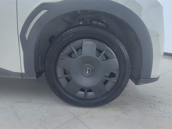 Фото 6 - BYD Seagull