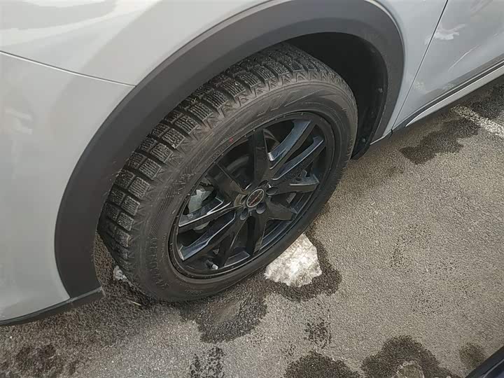 Фото 23 - Exeed RX