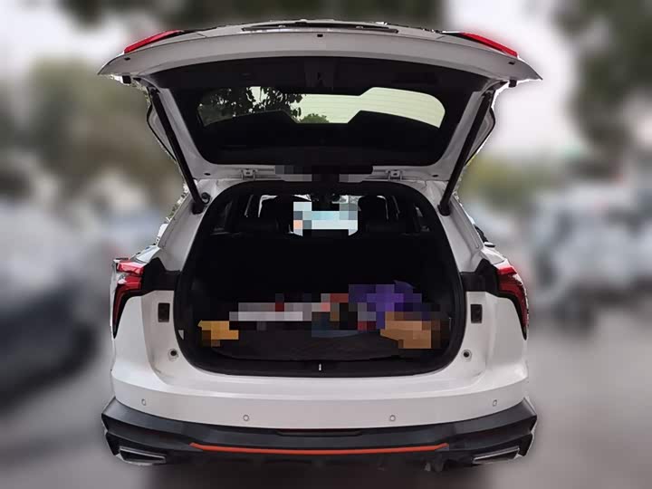 Фото 10 - Haval F7 (Monster)