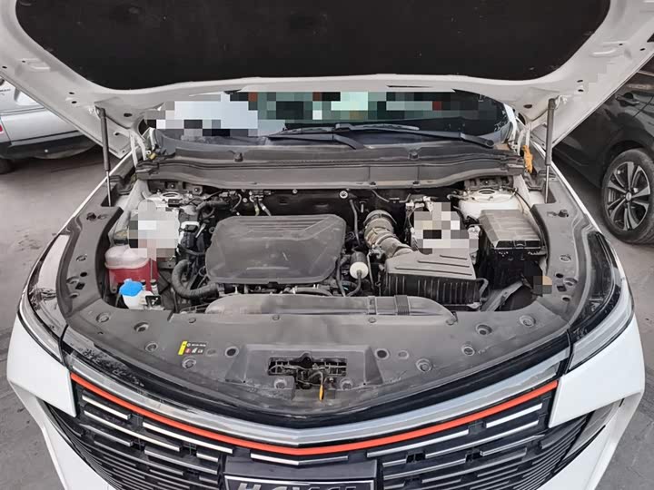 Фото 11 - Haval F7 (Monster)