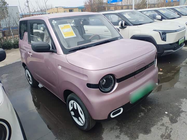 Фото 4 - Geely Galaxy Panda Mini