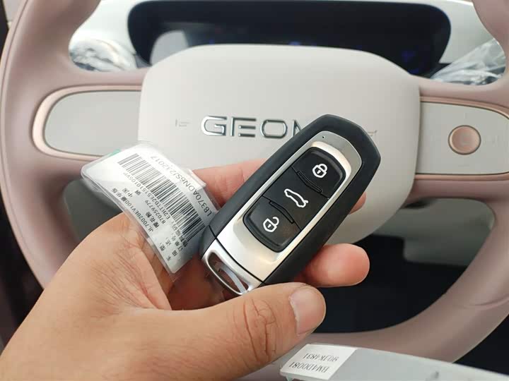 Фото 9 - Geely Galaxy Panda Mini