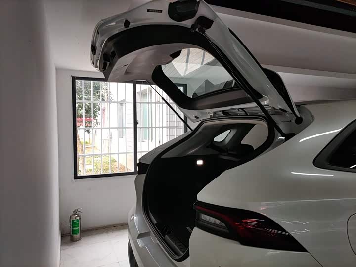 Фото 19 - Dongfeng Forthing Leiting