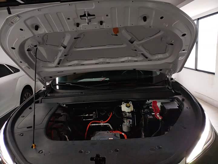 Фото 20 - Dongfeng Forthing Leiting