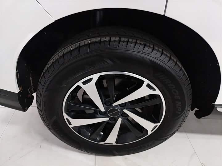 Фото 26 - Dongfeng Forthing Leiting