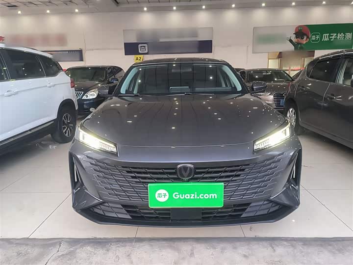 Фото 3 - Changan Yida