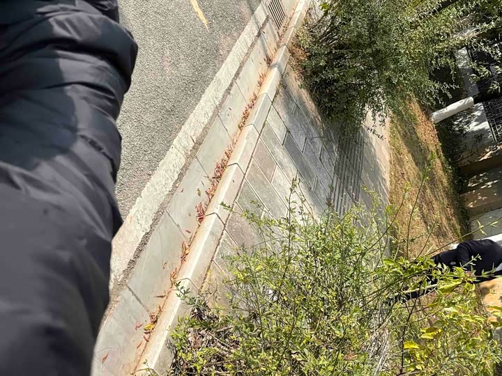 Фото 26 - MG Motor 5